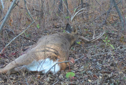 The author landed this monster during a public land rut hunt in Oklahoma.