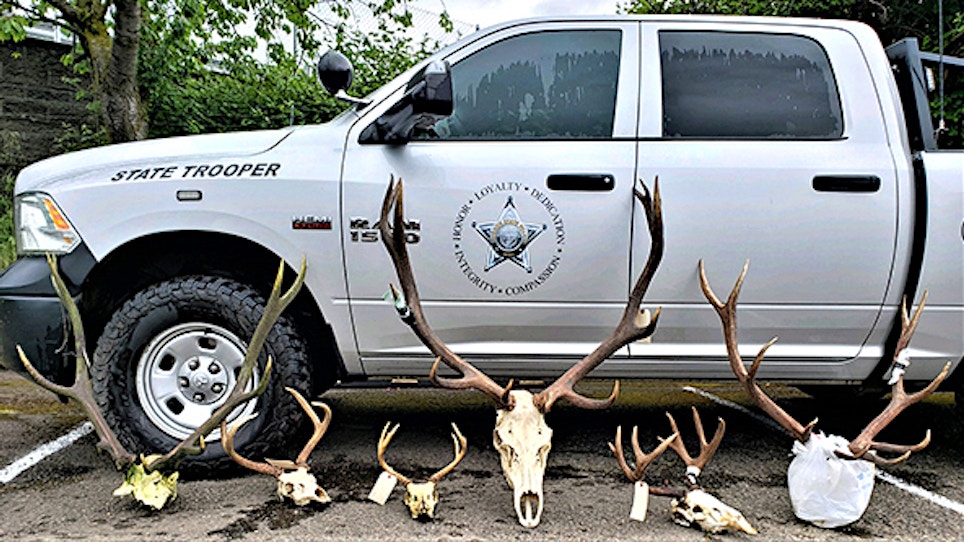 Game Warden Chronicles: Possible $162,000 in Poaching Fines, Restitution