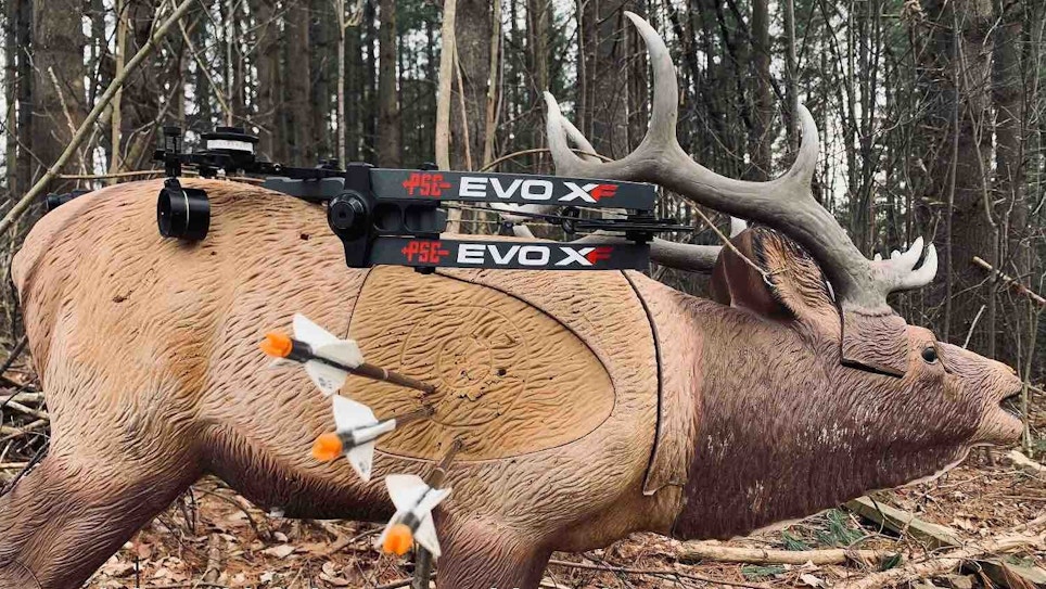 Bow Review: PSE EVO XF 33