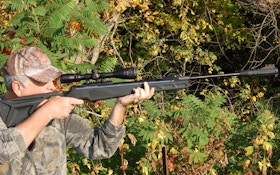 Airguns Are A Great Choice For Small Game