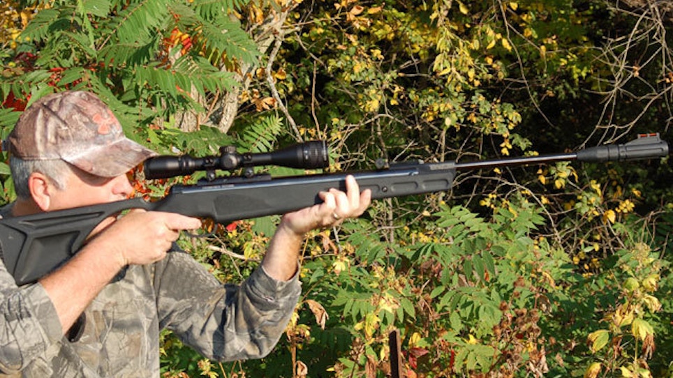 Airguns Are A Great Choice For Small Game