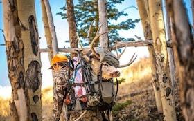 5 Must-Have Field Dressing Tools for Your Hunting Pack