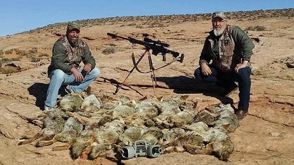 Coyote Hunting Champion Al Morris On Predators
