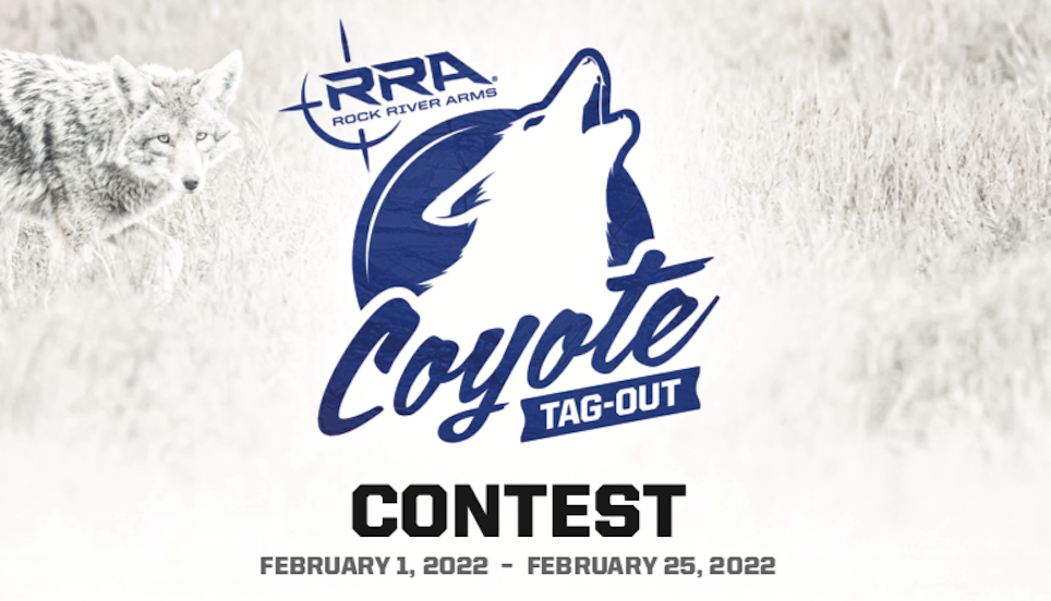 Coyote Tag-Out Contest