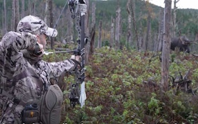 Must-See Moose Hunting Video