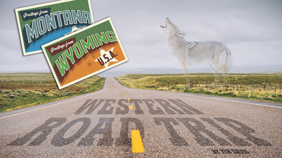 Taking a Western Road Trip for Coyotes