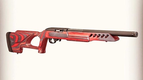 Popular rimfire firearms that are often well-known among shooters and hunters include the Ruger 10-22. Ruger's Target Lite rimfire features a design often popular among younger rimfire shooters. 