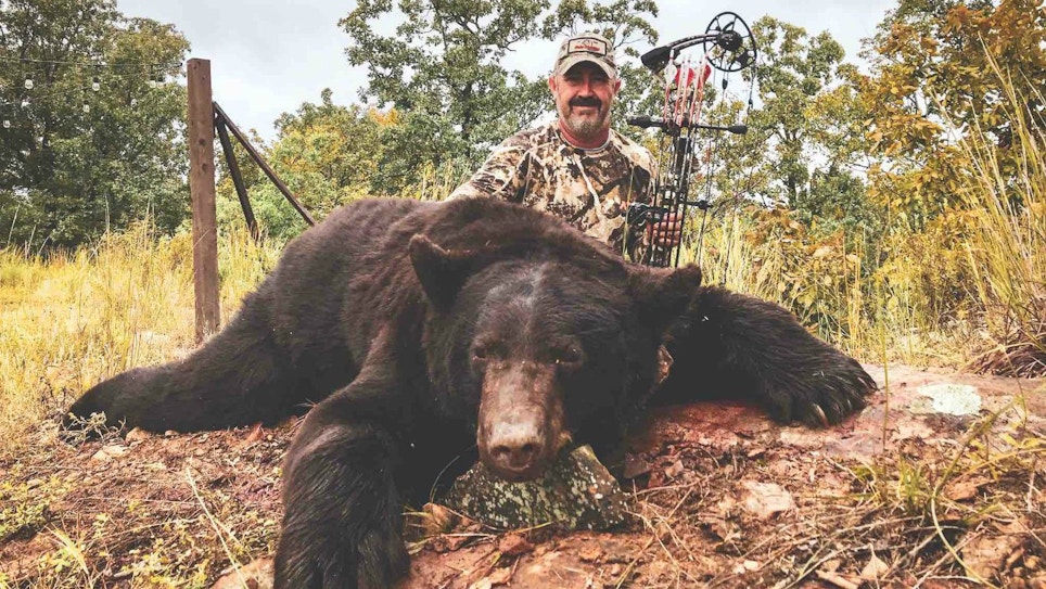 Deadly Black Bear Shot Placement for Bowhunters