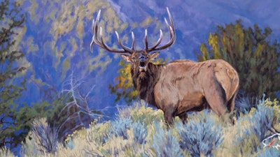 Top 10 Reasons Hunting is Conservation (Part 1)