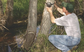 5 Can’t-Miss Trail Camera Locations for Whitetails