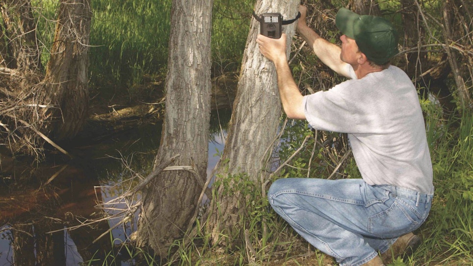5 Can’t-Miss Trail Camera Locations for Whitetails