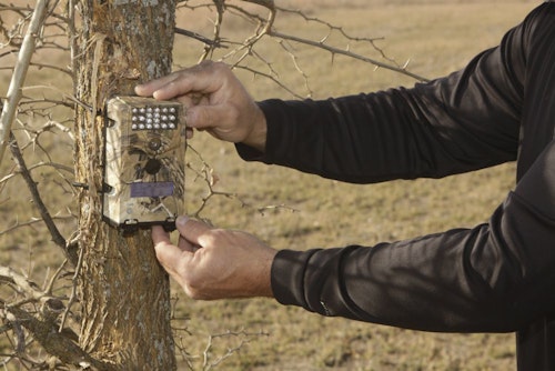Establishing a series of scouting cameras to help you gather whitetail movement patterns while you’re away is a critical summer chore during your visit.