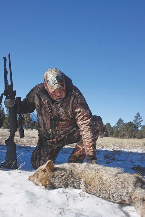 Savvy predator hunters know that hiding out in the bush and imitating a fox or coyote’s next meal is an effective way to get them sure-kill close. They respond to these sounds because competition for a full belly demands it.