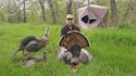 3 Proven Products for Arrowing a Wild Turkey