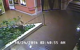 VIDEO: Authorities Kill Deer Trapped Inside Hotel