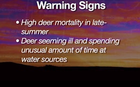 VIDEO: Deer Diseases — Bluetongue