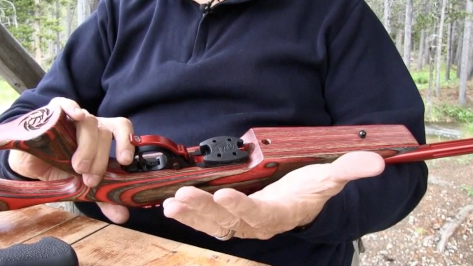 Learn About Custom Built Ruger 10/22s