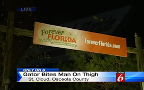 Alligator Attacks Worker At Forever Florida Attraction