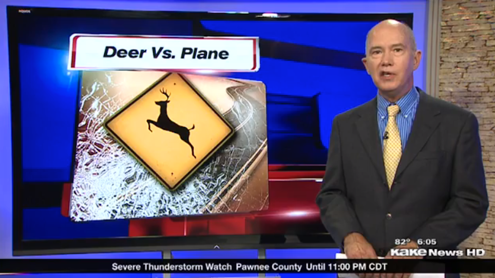 Single-Engine Plane Overturns After Hitting Deer In Kansas