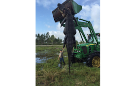 15-Foot, 800-Pound Alligator Killed In Florida
