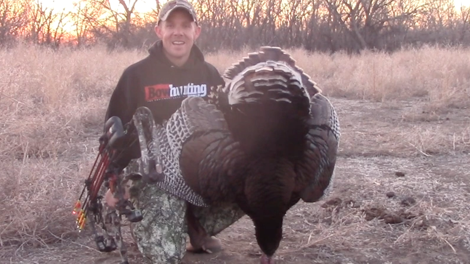Sometimes It's Just This Easy To Bag A Gobbler