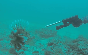 Video: Hunting Lionfish With A Glock