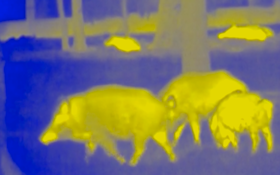 Q&A: What's the difference between digital night vision and thermal imaging?