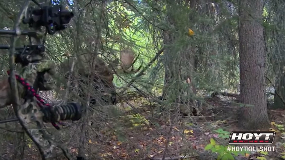Throwback Thursday Moose Bowhunting Video: Vicki Cianciarulo Arrows Monster Bull at 5 Feet!