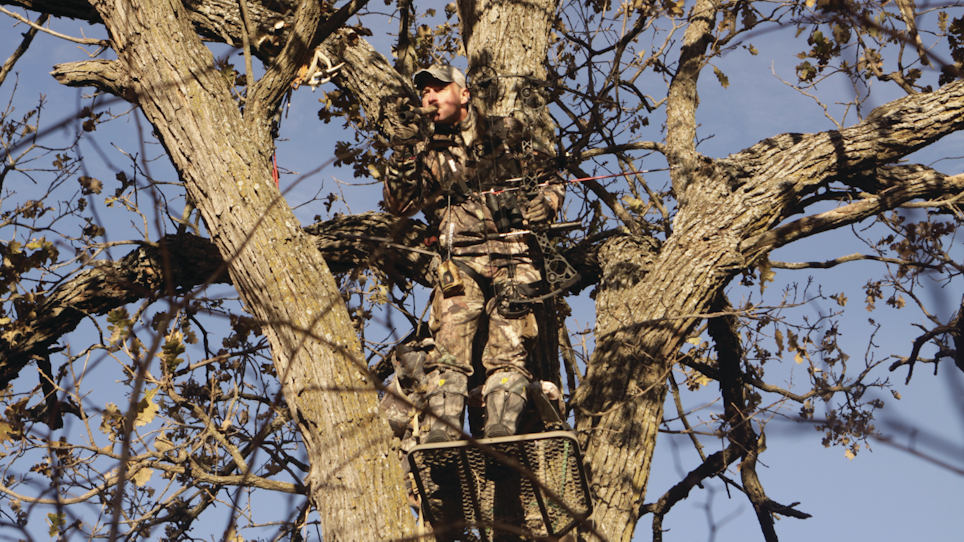 How High Should I Hang My Treestand?