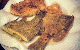 Whole Bluegills, Grits and Crumbled Tails and Fins