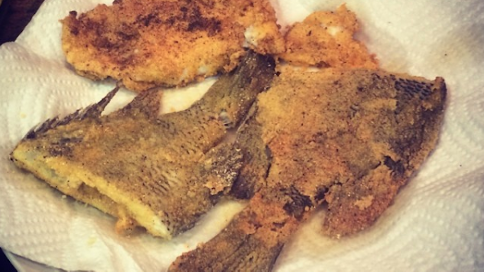 Whole Bluegills, Grits and Crumbled Tails and Fins