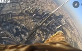 VIDEO: Fly With An Eagle From Nearly 3K Feet