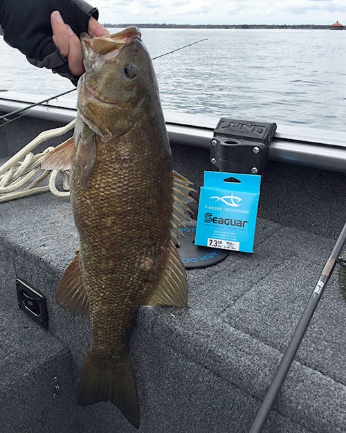 Whether you're going for smallmouth, largemouth or spots, bass often react better to finesse baits that mimic preferred forage such as crayfish, alewife, gobies or shad. (Photo: Seaguar Line)