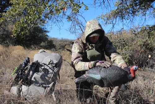 A lifelike decoy can lure a turkey within bow range, and cause a bird to lower its guard, allowing you to draw your bow undetected.