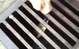 VIDEO: Catching bass from a storm drain