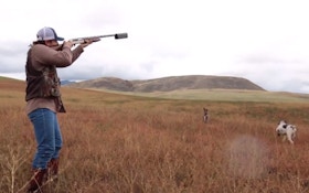 VIDEO: Pheasant Hunting With A Silencer
