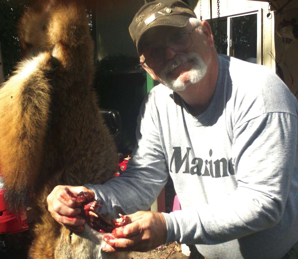 Hunter Attacked by 'Dead' Coyote