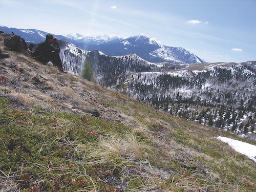 There are times when predator hunters need to apply those same tactics they use for spot-and-stalk pronghorn or mule deer hunting — get up high and glass a lot of open terrain. 