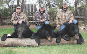 5 Reasons to Experience a Spring Bear Hunt