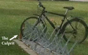 Iowa college says squirrel vandalized bicycle