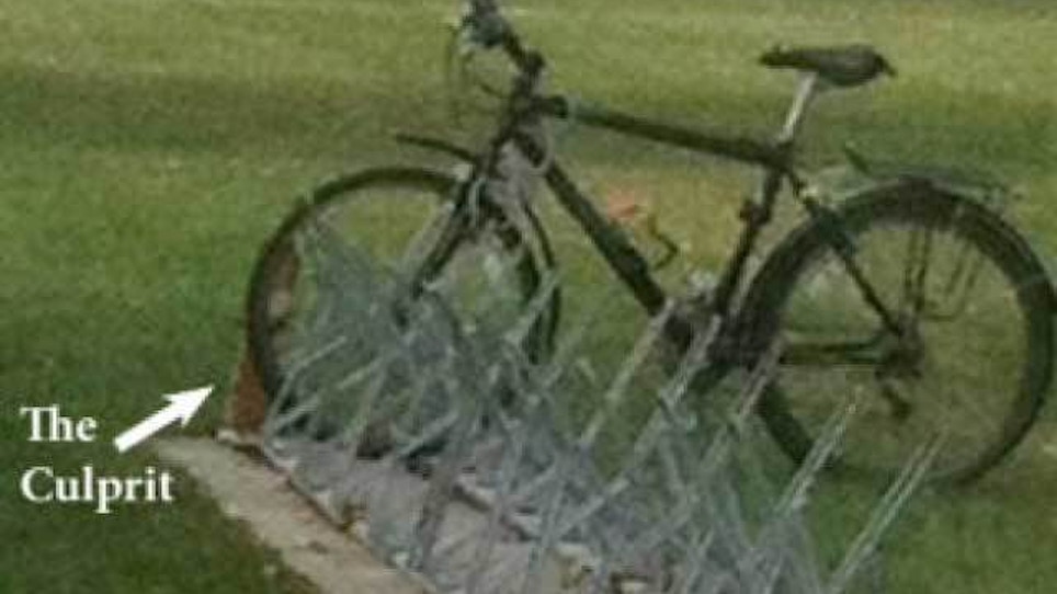 Iowa college says squirrel vandalized bicycle