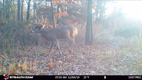 Trail cams are a powerful tool for hunters to learn a buck’s core area. Photo courtesy of Stealth Cam Facebook.