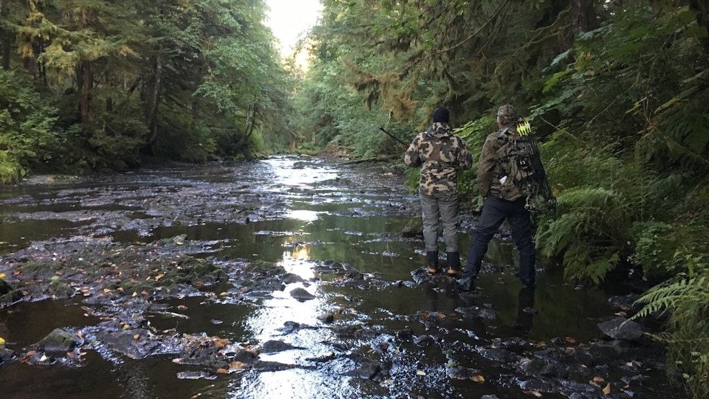 Assistant guide Craig Bisson and hunter Doug Bing hiking up a small salmon stream that was choked with brown bears. 