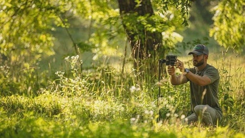 Summer is an excellent time to begin surveying your local deer herd with the aid of trail cameras.