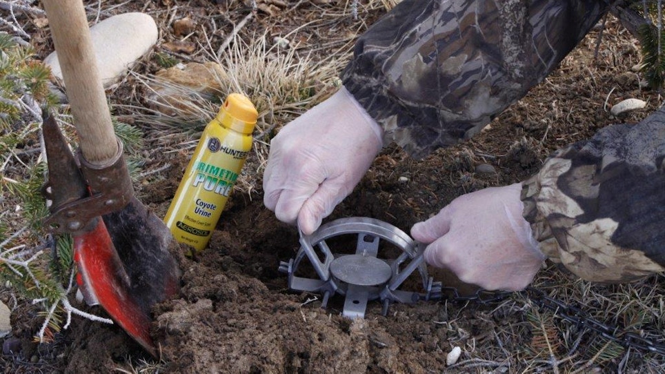 An all-in-one trapping kit to get you started