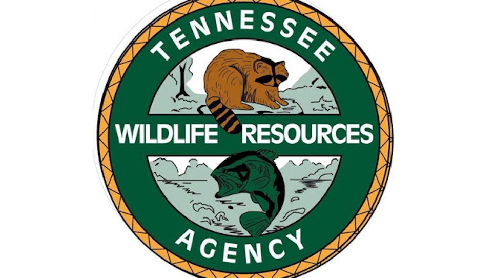 Tennessee gun deer season set to open