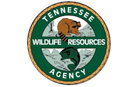 Tennessee leaders to meet over hog hunting regs