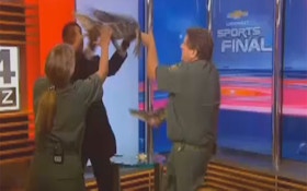 VIDEO: TV Anchor Wrestles With Gator On Air