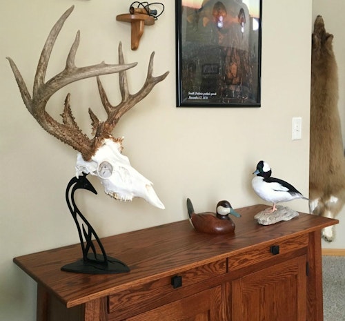The Table Hooker is an attractive and affordable to way to display European mounts on a desk or shelf.