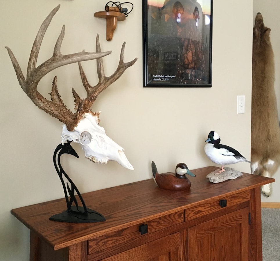 For a better photo angle, the author moved the Table Hooker holding his Kansas buck from the top of a gun cabinet to an end table.